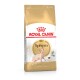 Sac de nourriture pour chat Royal Canin Sphynx Adult avec une illustration de chat Sphynx, au design doré et blanc et texte indiquant "Nutrition de race féline."