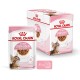 Verpackung für Royal Canin Kitten Sterilised Futter, mit einem Beutel und einer Box, entworfen für Kätzchen im Alter von 6-12 Monaten, 85g x 12.