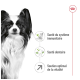 Un chien Papillon noir et blanc avec de longues oreilles, présentant des icônes pour "Santé immunitaire," "Santé dentaire," et "Soutien à la vitalité."