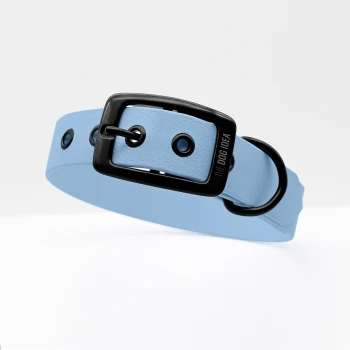 Hellblaue Hundehalsband mit einer schwarzen Schnalle und Löchern zur Anpassung, mit dem Text 'DIE HUND IDEE.'