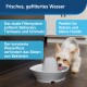 Trinkbrunnen Streamside