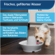 Ein kleiner Hund trinkt aus einem grauen Wasserbrunnen auf einem Holzboden, mit Text über gefiltertes Wasser und ein duales Filtersystem.