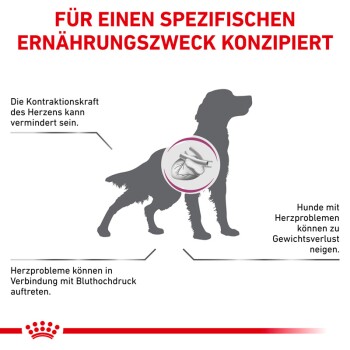 Hundsilhouette mit deutschem Text zur Herzgesundheit, der Gewichtsverlust und Bluthochdruck bei Hunden mit Herzproblemen erwähnt.