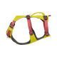 Ein leuchtend gelbes und pinkes Hundegeschirr mit verstellbaren Riemen und einem Metall-D-Ring zur Leinenbefestigung.