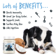 Glas Bugalugs Kokosöl, Kokosstücke und schwarz-weißer Hund, der seine Pfote leckt, mit aufgelisteten Vorteilen.