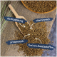 Ein Holzlöffel mit Samen auf Jute, beschriftet mit "als Ergänzung," "reich an Vitaminen," "reich an Protein," und "frei von Zusatzstoffen."