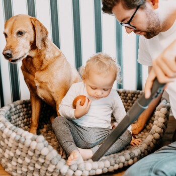 Ein Kind sitzt in einem gemütlichen Haustierbett, hält einen Apfel, mit einem Hund neben sich. Eine Person saugt in der Nähe.