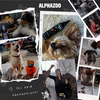Collage von Hunden mit verschiedenen Haustierprodukten, einschließlich einer Flasche ALPHAZOO-Spray und Leckerlis, mit dem Text "Ihr seid fantastisch!"