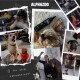 Collage von Hunden mit verschiedenen Haustierprodukten, einschließlich einer Flasche ALPHAZOO-Spray und Leckerlis, mit dem Text "Ihr seid fantastisch!"