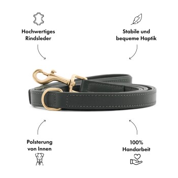 Hundeleine Plain Earth XXS-XS