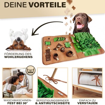 Ein verspielter brauner Hund neben einer bunten interaktiven Haustiermatte mit Texturen und versteckten Leckereien, die Maschinenwaschbarkeit und einfache Lagerung hervorhebt.
