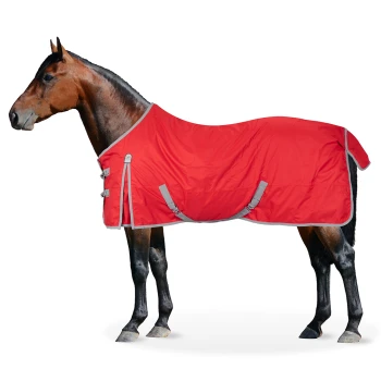 Ein braunes Pferd mit einer leuchtend roten Decke mit grauem Rand und Schnallen, vor einem weißen Hintergrund stehend.