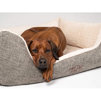 Ein brauner Hund, der bequem auf einem plüschigen, grauen Haustierbett mit einem weichen cremefarbenen Innenraum ruht, mit gesticktem Text an der Seite.