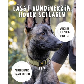 Nahaufnahme eines Hundes mit einem weichen Neoprenhalsband, mit Text, der Komfort und Aufregung für Haustiere hervorhebt.