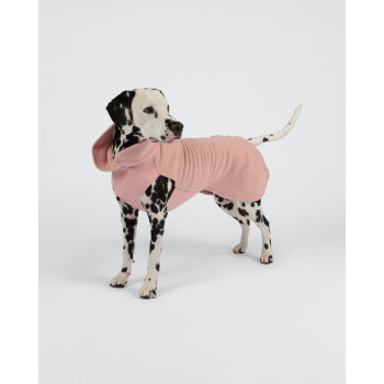 Dalmatiner trägt einen rosa Kapuzen-Hundemantel und steht vor einfarbigem weißem Hintergrund.