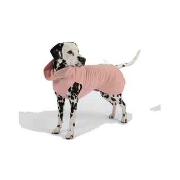 Dalmatiner trägt einen rosa Kapuzen-Hundemantel und steht vor einfarbigem weißem Hintergrund.
