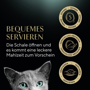 Nahaufnahme des Gesichts einer grauen Katze mit leuchtend grünen Augen, daneben steht der Text "BEQUEMES SERVIEREN" und Anweisungen zum Öffnen eines Lebensmittelbehälters.