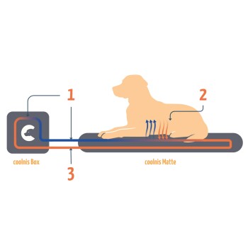 Diagramm, das das coolnis Haustier-Kühlsystem veranschaulicht, mit einem Hund, der auf einer coolnis Matte liegt, mit Pfeilen, die den Luftstrom aus der coolnis Box anzeigen.