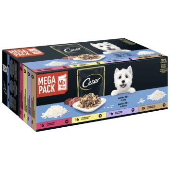 Cesar Mega Pack Hundefutter, 40 x 100g, mit Mahlzeiten für ältere Hunde in Gelee. Enthält Geschmäcker mit Rind, Huhn und Reis.