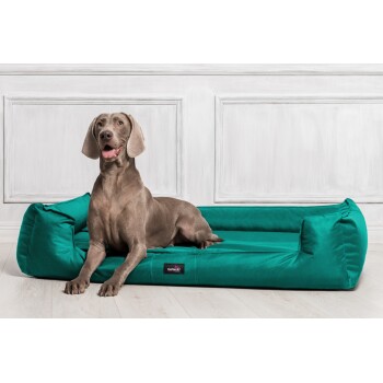 Ein grauer Hund, der auf einem türkisfarbenen Haustierbett mit einem Etikett, das "tierlando" beschriftet ist, entspannt, vor einer hellen Wand.