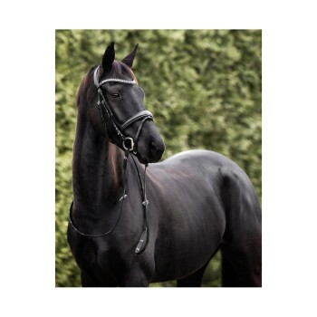 Ein majestätisches schwarzes Pferd mit glänzendem Fell und einem stilvollen Zaumzeug, das mit Strasssteinen verziert ist, vor einem verschwommenen grünen Hintergrund.