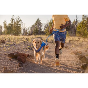 Trail Runner™ Leine