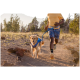 Eine Person in einem gelben Shirt und gemusterten Shorts läuft auf einem Schotterweg mit einem Golden Retriever, der ein blaues Geschirr trägt.