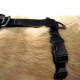 Tru-Fit Smart Hundegeschirr M
