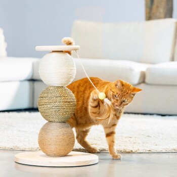 Pomarańczowy kot tabby bawi się żółtą piłką przymocowaną do wielotexturowej zabawki dla kotów z trzema ułożonymi, owiniętymi sznurkiem kulami.