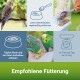 Zwei Wellensittiche auf einem Ast mit Fütterungsanweisungen: Samenschalen entfernen, täglich frisch anbieten, 8-10g pro Vogel. Grüner Farbverlauf Hintergrund.