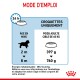 Instructions pour la nourriture pour chiens : directives d'alimentation basées sur l'âge (2-8 mois) et le poids (60 kg cible), avec des informations sur l'énergie (3812 kcal/kg).