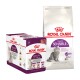 Emballage de nourriture pour chat Royal Canin présentant une boîte de 12 sachets sensoriels et un sac de nourriture sèche Regular Sensible, mettant en avant la nutrition pour la santé féline.