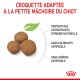 Croquettes pour chiots adaptées à leur petite mâchoire, avec des antioxydants naturels, sans colorants ni arômes artificiels.