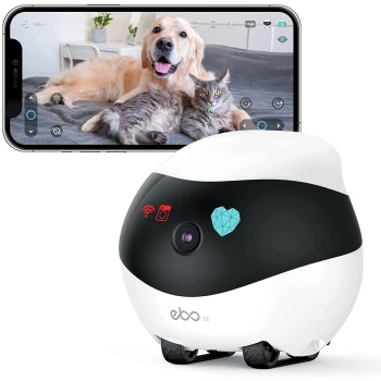 Eine weiße und schwarze Haustierkamera mit einem Herzsymbol wird vor einem Smartphone gezeigt, das einen Golden Retriever und eine graue Katze auf einem Bett anzeigt.