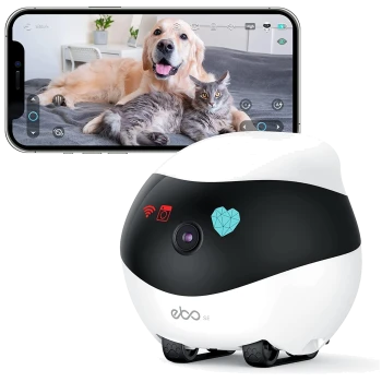 Eine weiße und schwarze Haustierkamera mit einem Herzsymbol wird vor einem Smartphone gezeigt, das einen Golden Retriever und eine graue Katze auf einem Bett anzeigt.