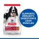 Hill's Science Plan dog food bag with a black and white dog, labeled "Adult 1-6, Medium 11-25 kg," promoting immunity and digestion support.