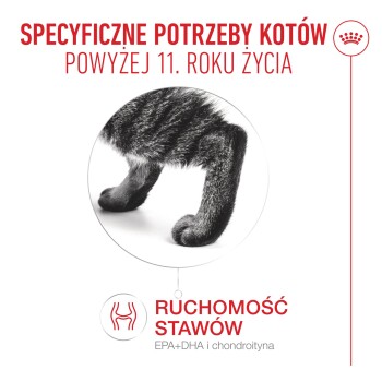 Zbliżenie nóg kota z polskim tekstem o potrzebach ruchomości stawów u kotów powyżej 11 lat.