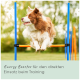 Ein braun-weißer Border Collie springt über eine Agility-Stange im Freien, mit "Energy Booster für den direkten Einsatz beim Training" darunter.