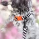 Eine Nahaufnahme des Hundehalses mit einem schwarz-weiß gestreiften Halsband mit einer orangefarbenen Schnalle, das an einer schwarzen Leine befestigt ist, umgeben von rosa Blumen.