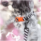 Eine Nahaufnahme des Hundehalses mit einem schwarz-weiß gestreiften Halsband mit einer orangefarbenen Schnalle, das an einer schwarzen Leine befestigt ist, umgeben von rosa Blumen.