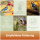 Collage von Gartenvögeln, hängendem Meisenknödel und Futterspender, Icons mit deutschen Fütterungstipps und Überschrift 'Empfohlene Fütterung'