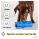 Ein brauner Hund schnüffelt an einem blauen Trainingsspielzeug auf einem hellen Boden, mit Symbolen für Training, Spaß und Stressabbau, und dem Text "Spielen entspannt Hunde."
