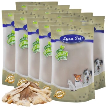 Lyra Pet Hundeleckerlitasche mit einer Vielzahl von Hunden auf der Vorderseite, beschriftet mit 'Lyra Nature Power', mit einem Haufen Leckerlis davor.