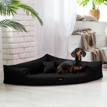 Ein schwarzes Hundebett mit einem Dackel, der darauf sitzt, umgeben von Zimmerpflanzen und weichen Möbeln in einem hellen Raum.