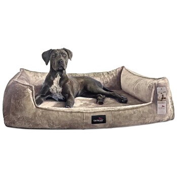 ® Orthopädisches Hundebett FRANKLIN Kuscheliger Teddy-Stoff - Hundesofa beige 1,3 m, 25 cm, 1 m
