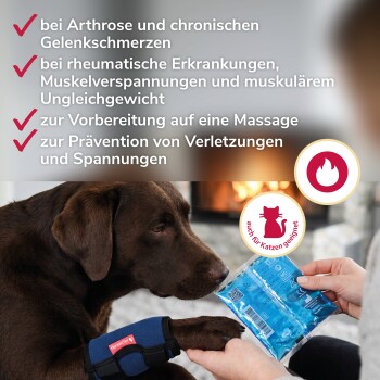 Nahaufnahme eines grauen und blauen Haustiergeschirrriemens mit schwarzen Klettverschlüssen vor weißem Hintergrund.