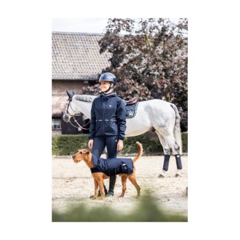 Eine Person in einer schwarzen Reitjacke und einem Helm steht neben einem braunen Hund, der einen passenden Mantel trägt, mit einem weißen Pferd im Hintergrund.