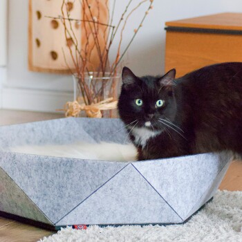 Eine schwarz-weiße Katze mit grünen Augen steht in einem grauen sechseckigen Haustierbett mit einem flauschigen weißen Innenraum in einem gemütlichen Innenraum.