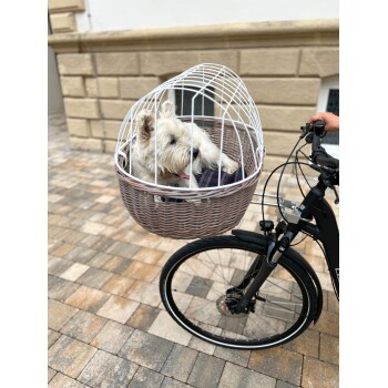 Ein kleiner weißer Hund sitzt bequem in einem stilvollen Fahrradkorb mit einem weißen Drahtgestell, während eine Person die Fahrradlenker hält.