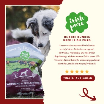 Ein Hund inspiziert einen Sack "Irish Pure" Hundefutter mit grünem Logo, Kuhbildern und einem Testimonial von Tina B. aus Mölln.